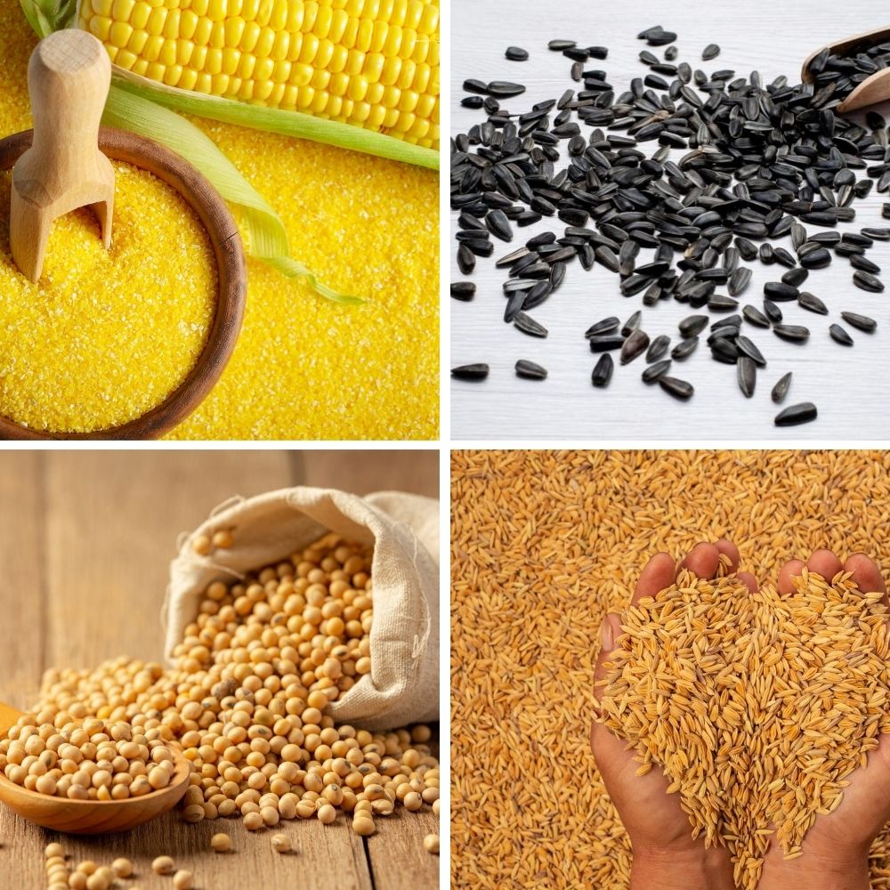 Your Trusted Partner In Agricultural Markets | Collage of four agricultural commodity products.