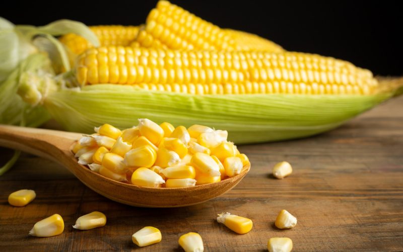 What We Do / Can Do /Offer: Maize